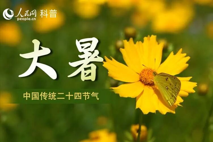 处暑|暑尽秋来,告别盛夏!收好这份入秋养生攻略 处暑|暑尽秋来,告别盛夏!收好这份入秋养生攻略