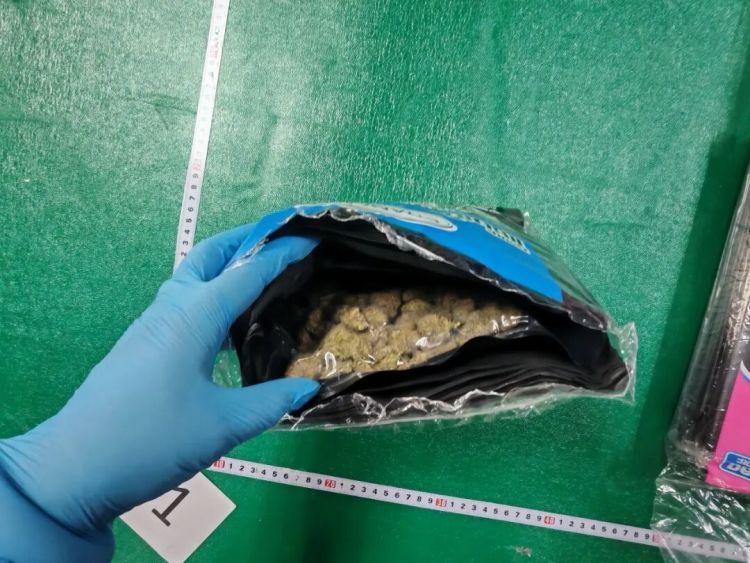 广州海关在广州白云机场空港口岸查获毒品大麻,重496.76克 广州海关在广州白云机场空港口岸查获毒品大麻,重496.76克