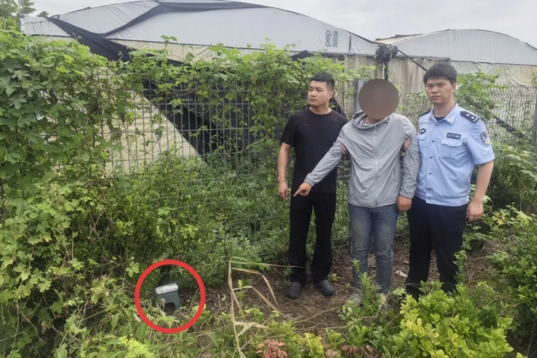 “有人在这装摄像头,不对劲!” “有人在这装摄像头,不对劲!”