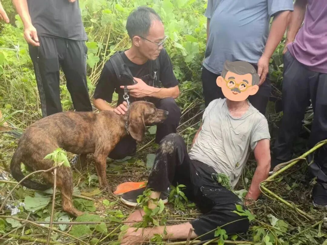 岳阳一警犬助力找到走失超40小时老人,家属抱住它泪崩,回应:已奖励加餐 岳阳一警犬助力找到走失超40小时老人,家属抱住它泪崩,回应:已奖励加餐