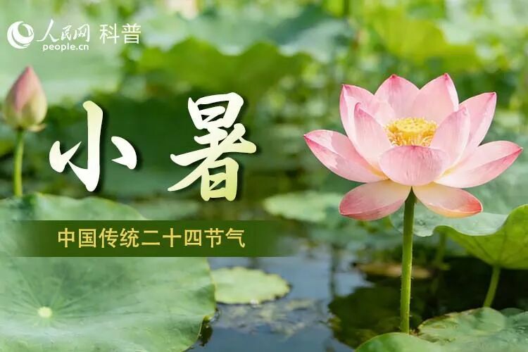 处暑|暑尽秋来,告别盛夏!收好这份入秋养生攻略 处暑|暑尽秋来,告别盛夏!收好这份入秋养生攻略