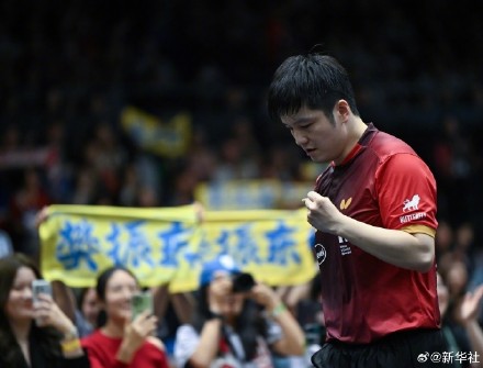 樊振东杜塞尔多夫首秀独得两分帮助球队取胜 樊振东杜塞尔多夫首秀独得两分帮助球队取胜