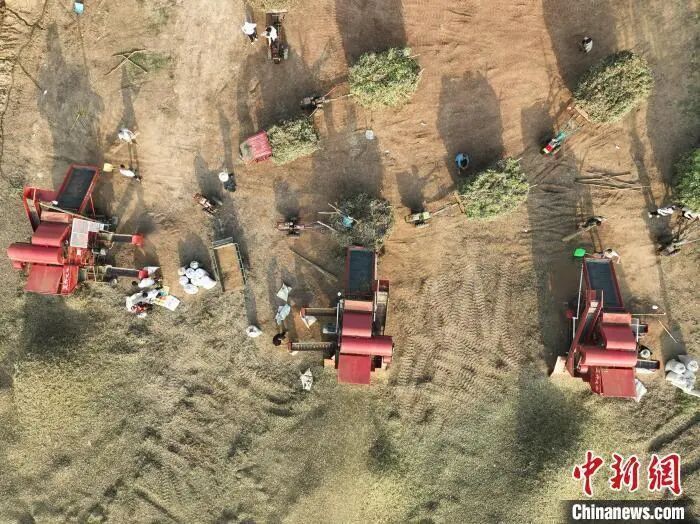 处暑来临,为何不意味着马上“出暑”? 处暑来临,为何不意味着马上“出暑”?
