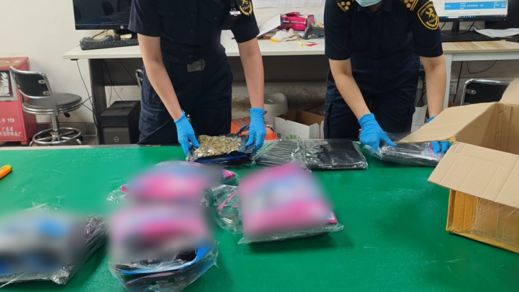 广州海关在广州白云机场空港口岸查获毒品大麻,重496.76克 广州海关在广州白云机场空港口岸查获毒品大麻,重496.76克