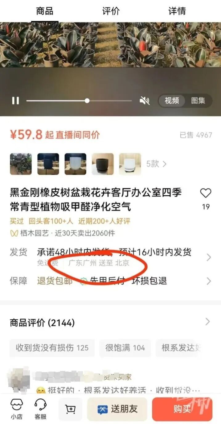 女子网购的绿植爬出4条蛇 专家解读:蛇是咋进去的,网购绿植要注意啥 女子网购的绿植爬出4条蛇 专家解读:蛇是咋进去的,网购绿植要注意啥