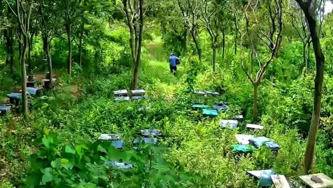为了这口甜蜜，两人被拘