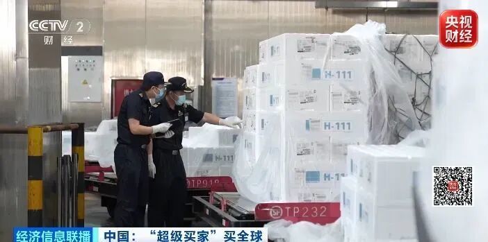 从捕捞到上餐桌,只要24小时!进口三文鱼,加速赶来→ 从捕捞到上餐桌,只要24小时!进口三文鱼,加速赶来→