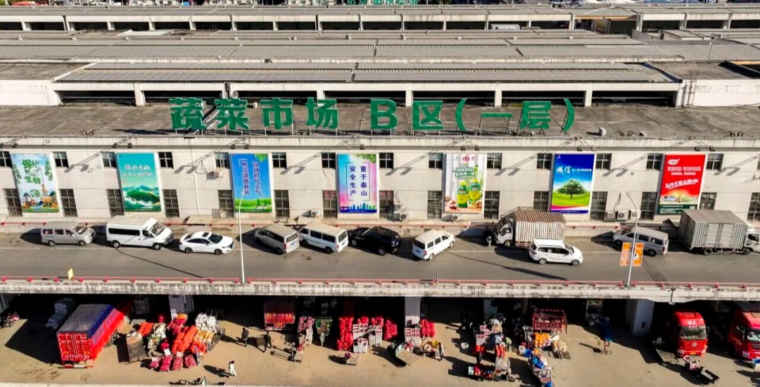 南京众彩:对场内大白菜地毯式抽检,未检出甲醛等有害物质 南京众彩:对场内大白菜地毯式抽检,未检出甲醛等有害物质