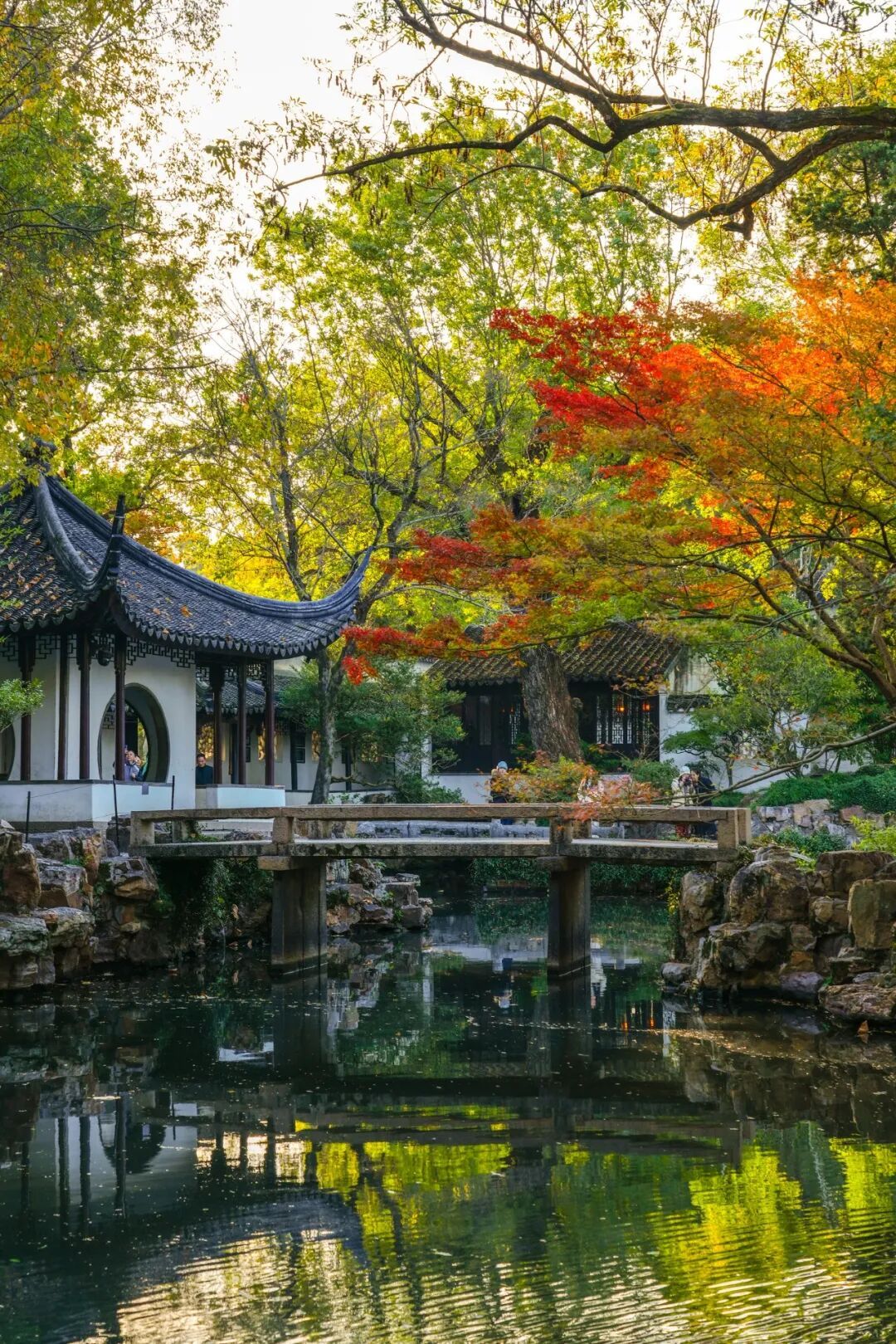 “我那可爱又迷人的老祖宗啊” “我那可爱又迷人的老祖宗啊”