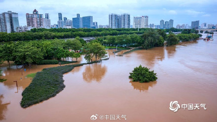 郁江南宁段水位上涨 旅游码头和亲水步道被淹 郁江南宁段水位上涨 旅游码头和亲水步道被淹