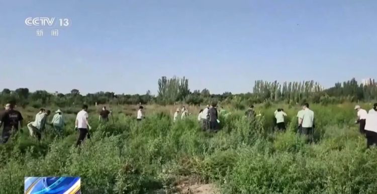 近期突然出现喷嚏不断、鼻塞难眠等症状？别硬扛！多地进入高发期→