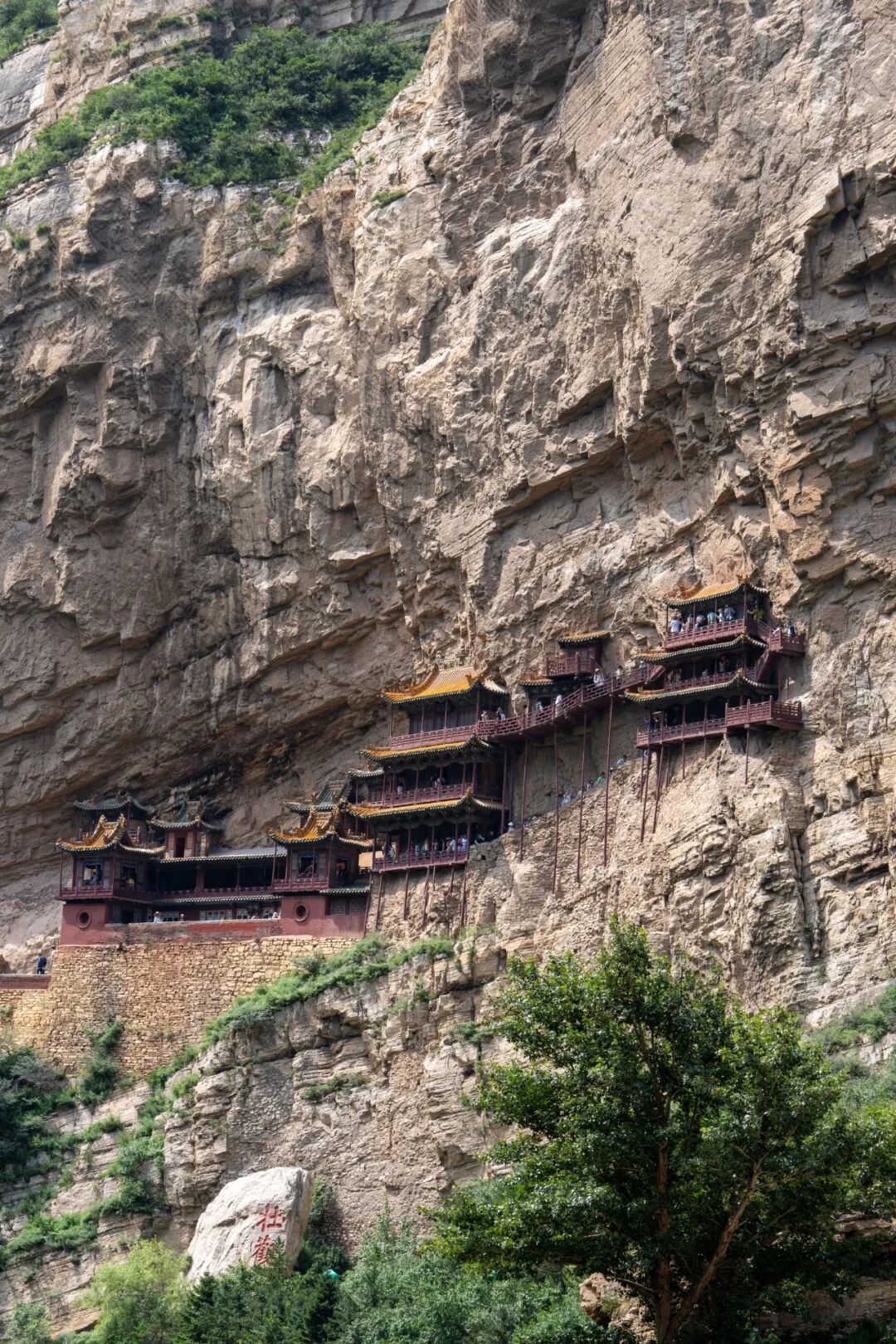 “我那可爱又迷人的老祖宗啊” “我那可爱又迷人的老祖宗啊”