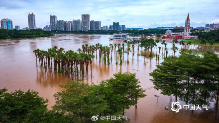 郁江南宁段水位上涨 旅游码头和亲水步道被淹 郁江南宁段水位上涨 旅游码头和亲水步道被淹