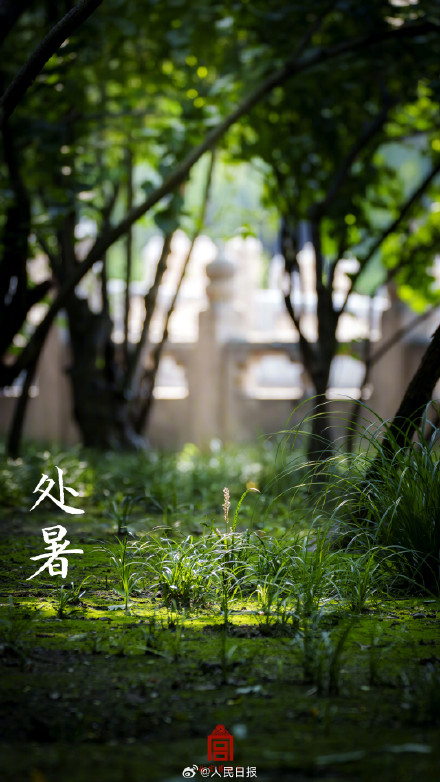 故宫历年处暑壁纸，转发观赏