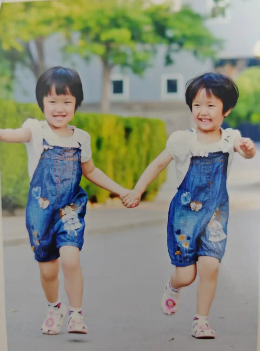 杨若瑾、杨若瑜被北大录取,和父母成为校友! 杨若瑾、杨若瑜被北大录取,和父母成为校友!