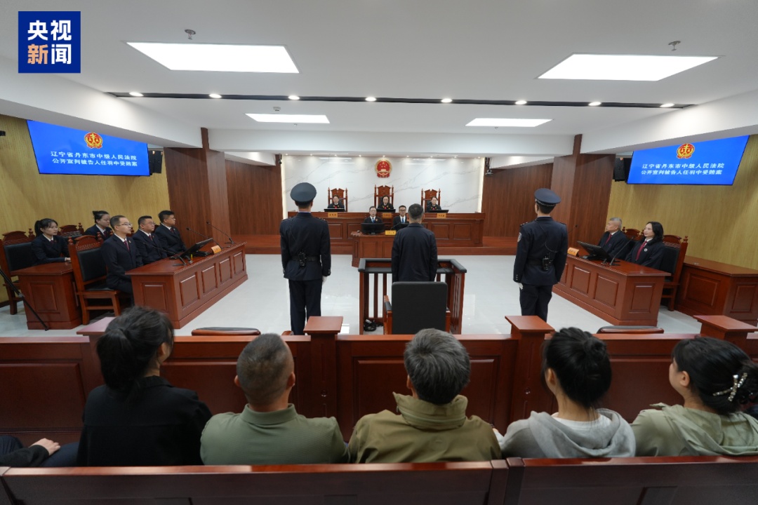 北大原副校长任羽中，有期徒刑八年！