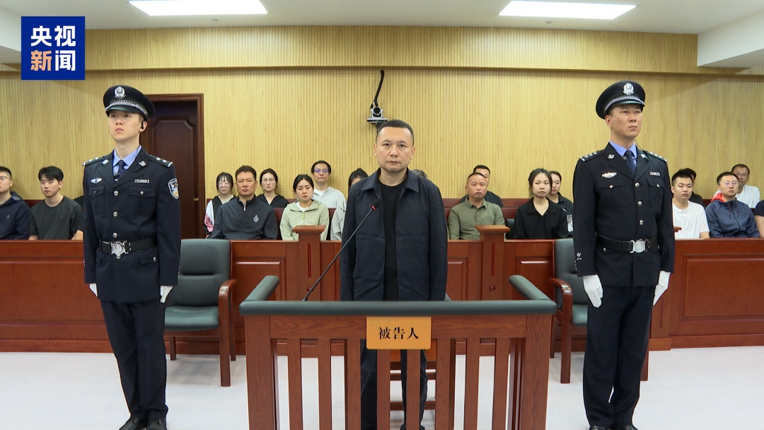 北大原副校长任羽中，有期徒刑八年！