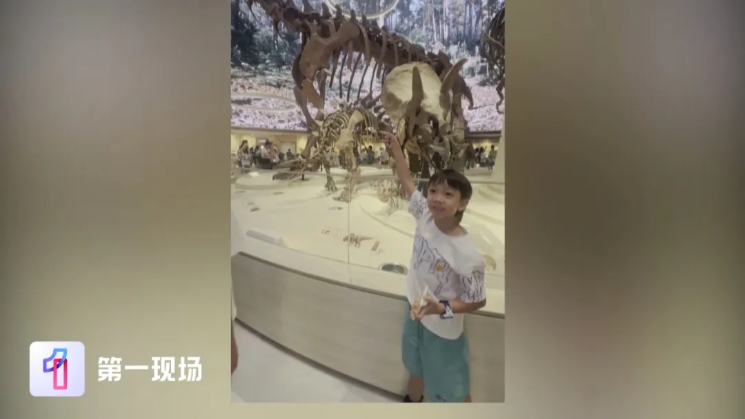 太顶了!7岁小孩哥给博物馆纠错,官方回应→ 太顶了!7岁小孩哥给博物馆纠错,官方回应→