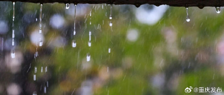 今日出伏!未来三天重庆有阵雨或雷雨 今日出伏!未来三天重庆有阵雨或雷雨