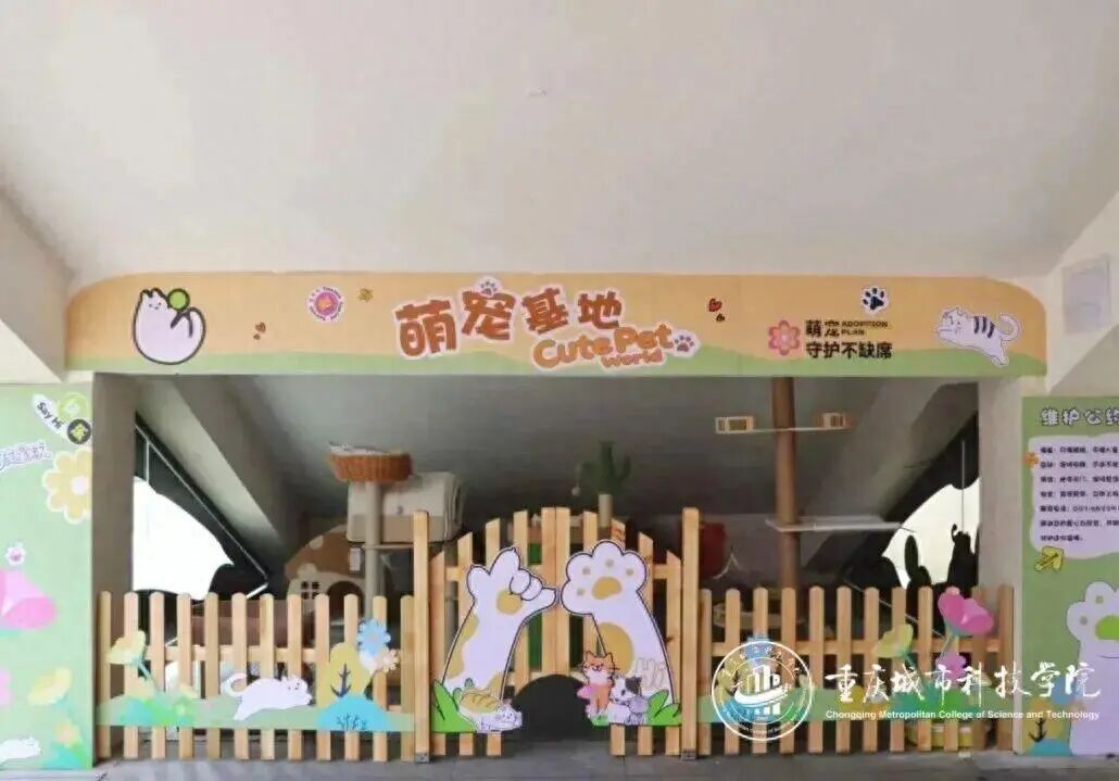 部分民办高校允许“带着宠物上学”?校方回应:设专门寄养区 部分民办高校允许“带着宠物上学”?校方回应:设专门寄养区