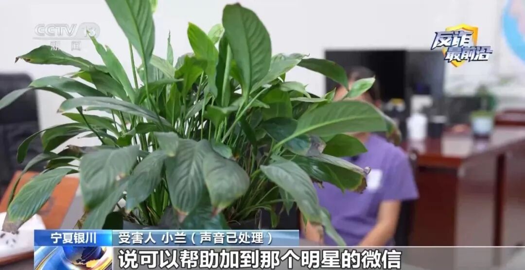 小学刚毕业的她为加“明星”微信，被连环套路了3万多元……