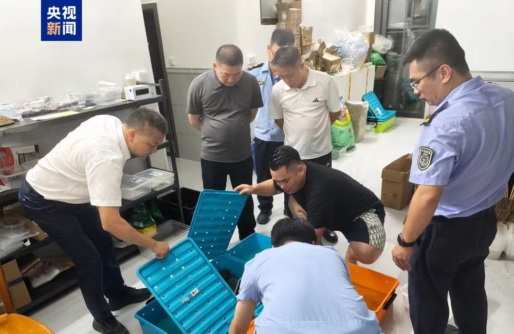 总台报道有反馈丨广东茂名电白区开展龟类养殖交易行业排查整治行动