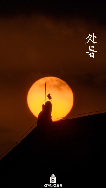 故宫历年处暑壁纸，转发观赏