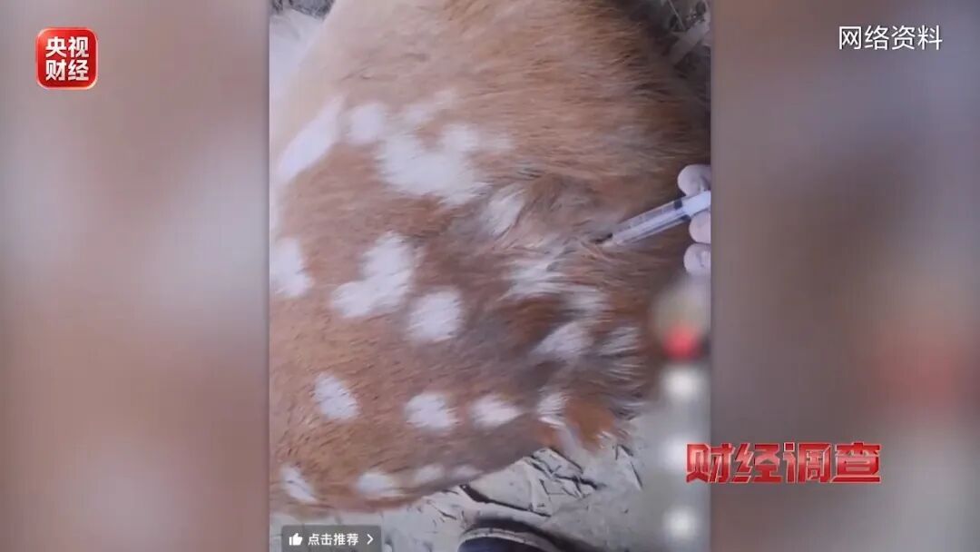 处方兽药被偷制成新型毒品，“能轻松买到”！多地通报→