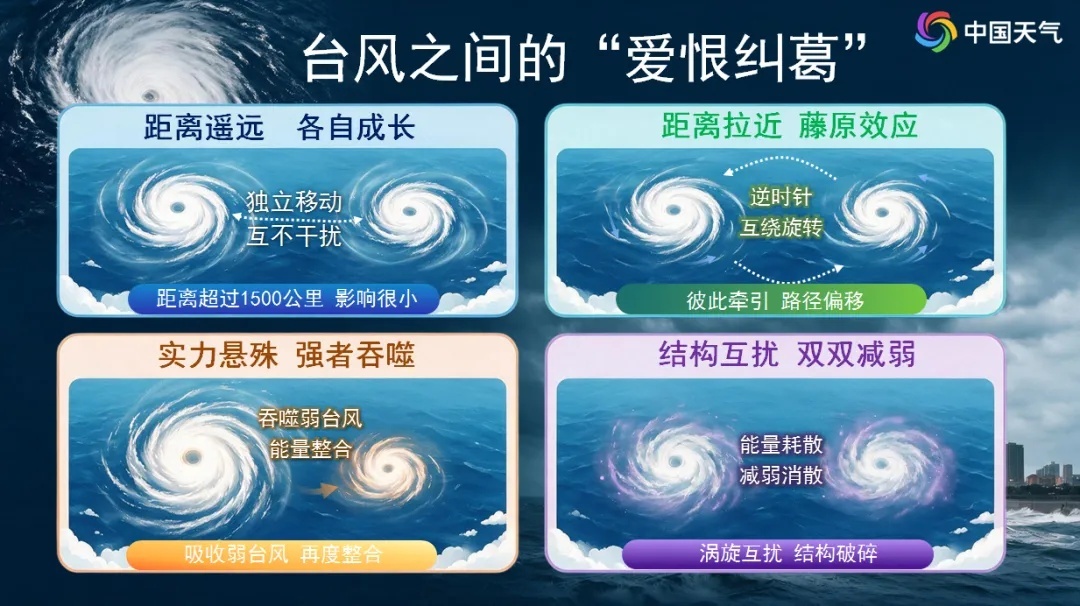 超强台风“沙德尔”是又一个“白海豚”？气象专家解读