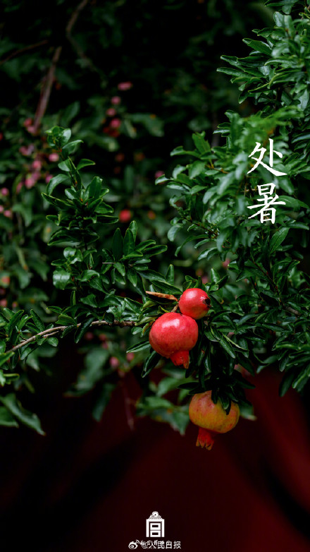 故宫历年处暑壁纸，转发观赏
