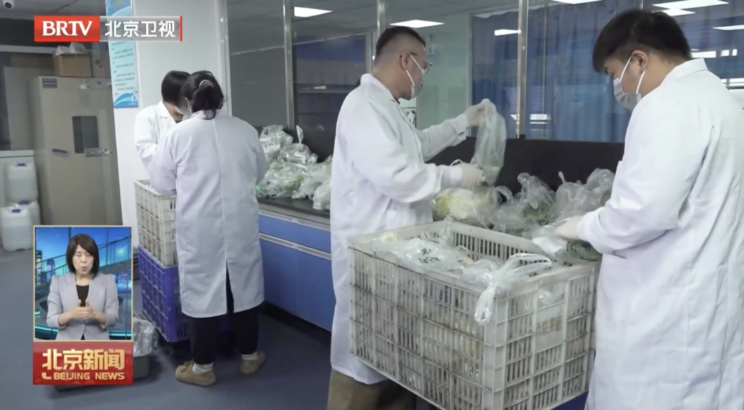 北京新发地:目前,白菜车车检测!“甲醛白菜”未流入 北京新发地:目前,白菜车车检测!“甲醛白菜”未流入