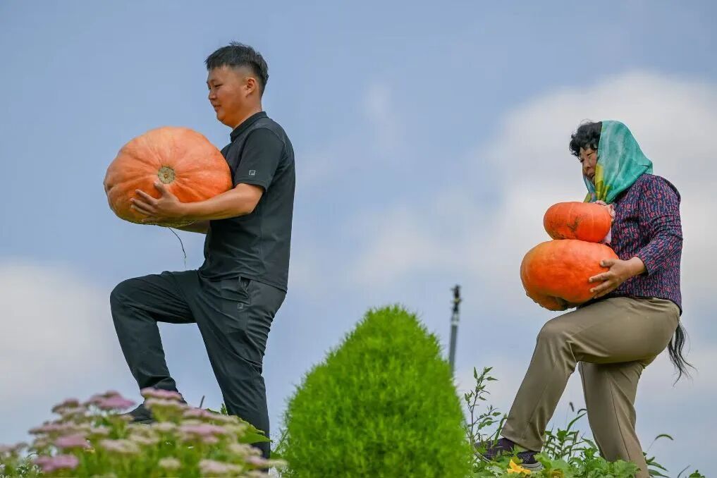 殷玉珍的菜单 殷玉珍的菜单