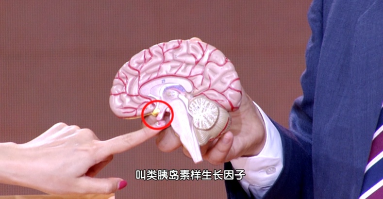 5种常见水果吃多了,可能悄悄“激活”癌细胞,看完赶紧忌口,身体会感谢你 5种常见水果吃多了,可能悄悄“激活”癌细胞,看完赶紧忌口,身体会感谢你