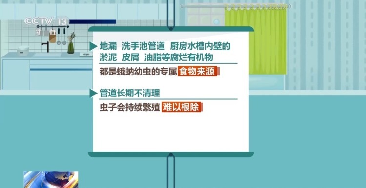 当心“移动传染源”小飞虫潜藏大隐患 当心“移动传染源”小飞虫潜藏大隐患