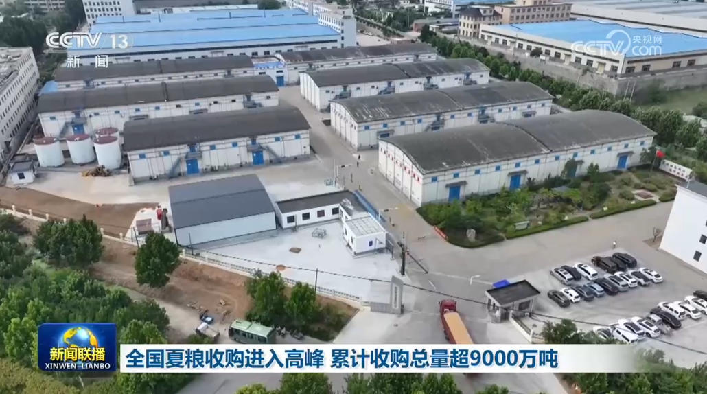 全国夏粮收购进入高峰 累计收购总量超9000万吨 全国夏粮收购进入高峰 累计收购总量超9000万吨