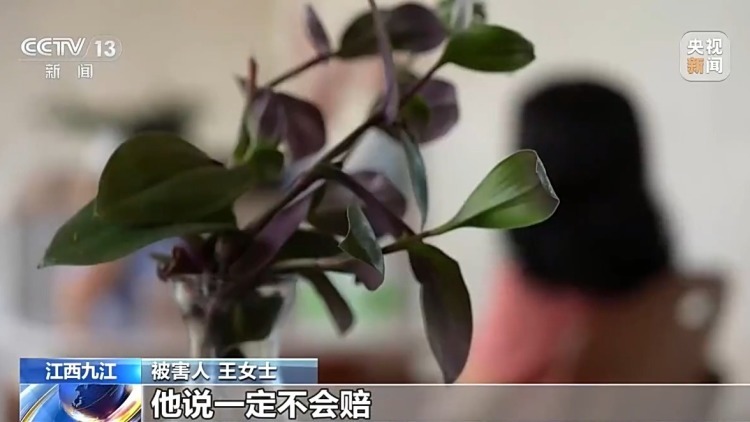 法治在线丨投30万元挣上亿元?二人假扮客商专骗老人被抓 法治在线丨投30万元挣上亿元?二人假扮客商专骗老人被抓