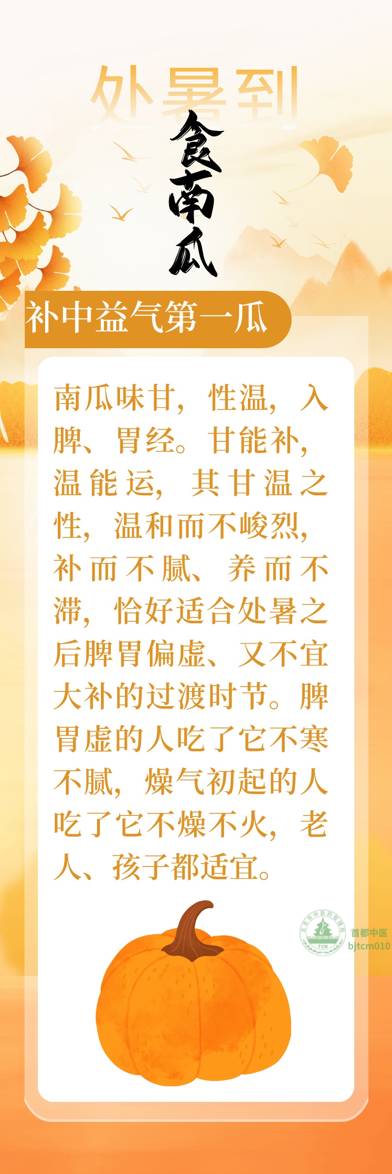 人称“补中益气瓜”，处暑后要吃它！煮粥、清蒸、做汤，简单美味又养脾胃