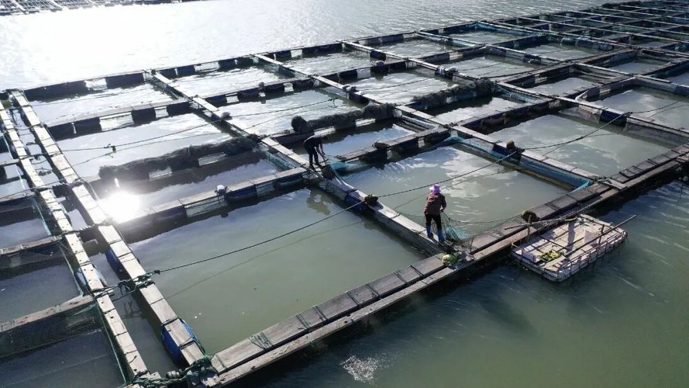 台风“沙德尔”登陆路径,最新研判!12米狂浪,紧急提醒→ 台风“沙德尔”登陆路径,最新研判!12米狂浪,紧急提醒→