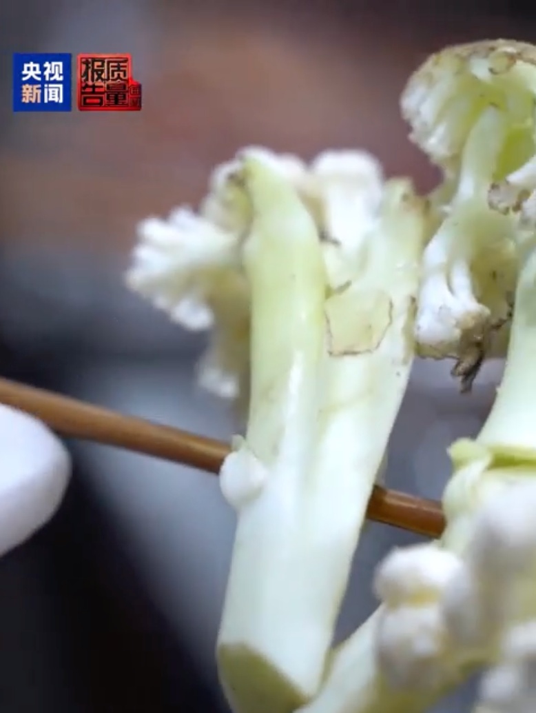 触目惊心!月销两万单烧烤店:后厨蔬菜变质、虫子乱爬 触目惊心!月销两万单烧烤店:后厨蔬菜变质、虫子乱爬