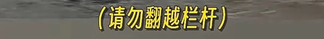 上海这里惊现91岁“跳水大爷”?喇叭循环喊话也拦不住 上海这里惊现91岁“跳水大爷”?喇叭循环喊话也拦不住