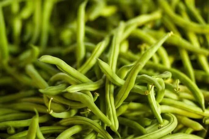 看完《欢迎来龙餐馆》才扔掉发芽土豆？厨房里这些更“毒”的千万别忽略！