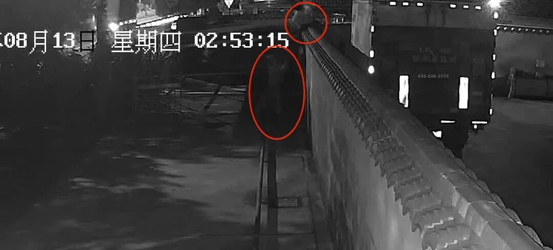 以“应聘”为幌子借机熟悉地形,凌晨盗窃铜线150余斤,浙江这3人被抓! 以“应聘”为幌子借机熟悉地形,凌晨盗窃铜线150余斤,浙江这3人被抓!