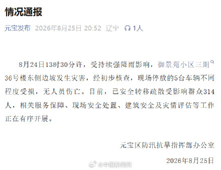 官方通报辽宁丹东一小区背后发生山体滑坡