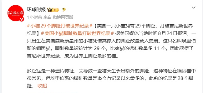 美国一只小猫拥有29个脚趾，打破吉尼斯世界纪录，比家猫的标准数量多 11 个