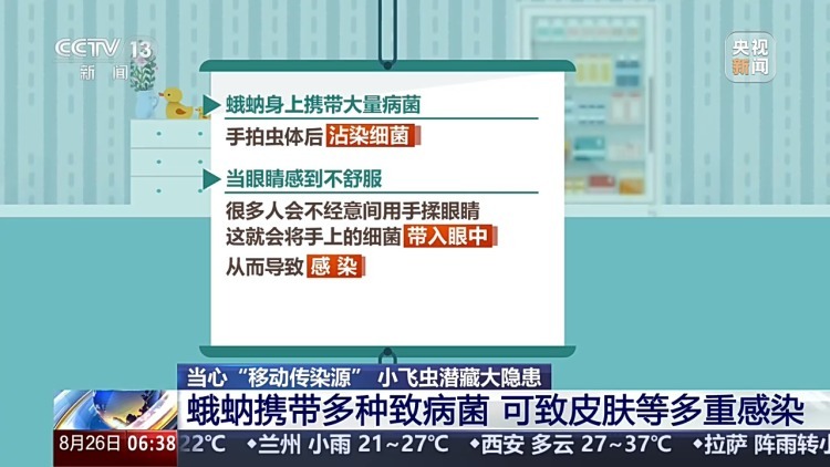 警惕！这种黑色小飞虫是“移动病菌库” 卫生间里很常见