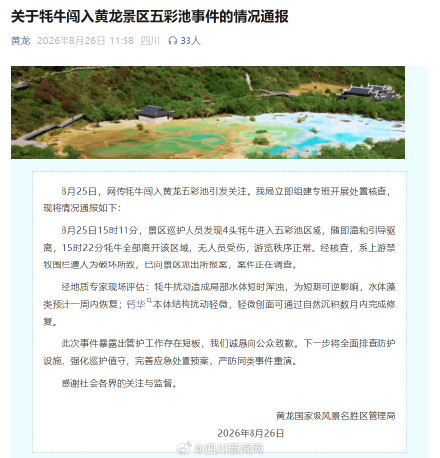 黄龙景区通报4头牦牛闯入五彩池事件