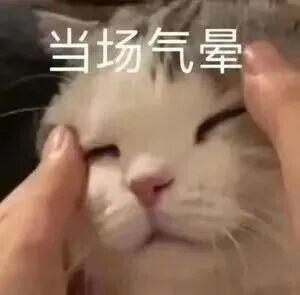 手机被远程操控？威海民警紧急拦截追回7万元