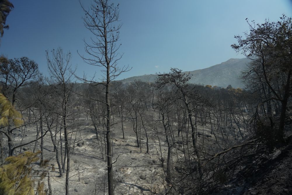 希腊数小时新增39场野火　海军基地暂无风险