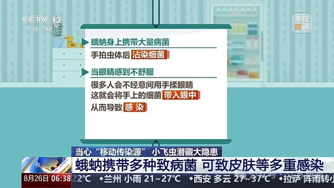 卫生间常见黑色小飞虫是“移动病菌库”!有人随手拍死,竟被迫摘除眼球 卫生间常见黑色小飞虫是“移动病菌库”!有人随手拍死,竟被迫摘除眼球