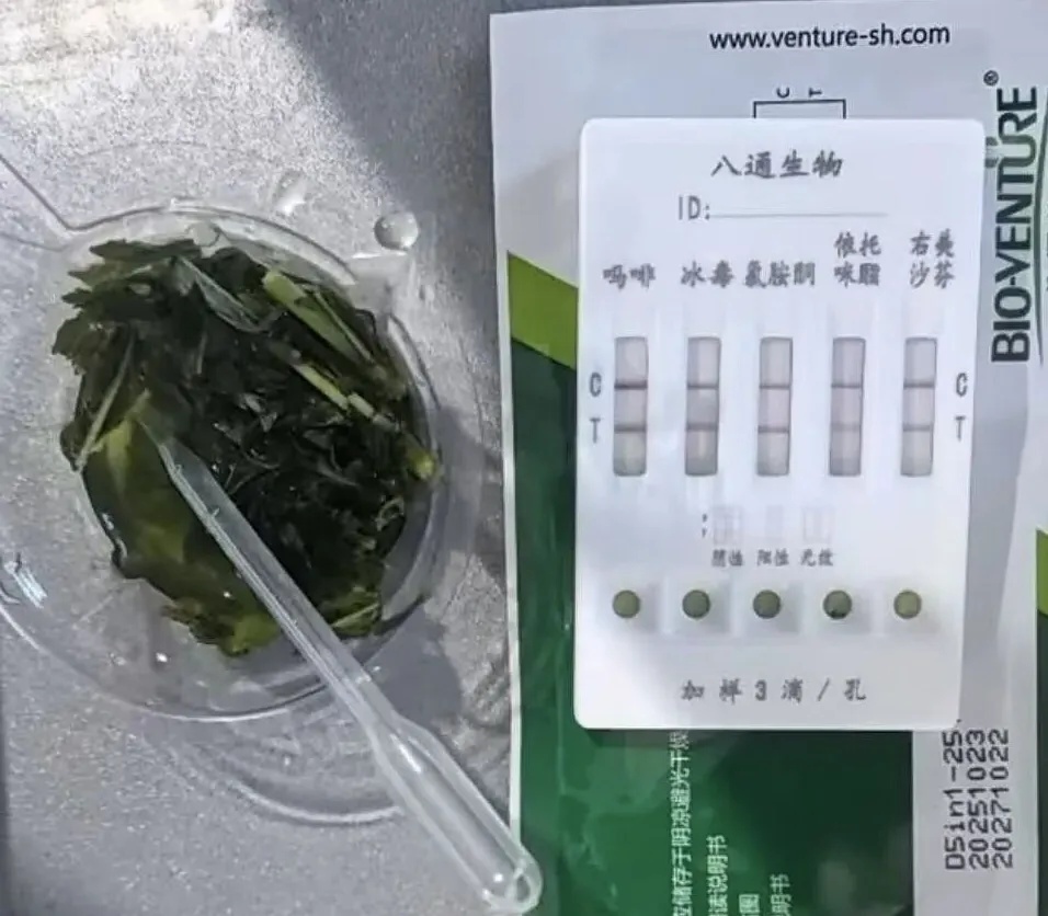 好样的！3名“小孩哥”用AI立大功！